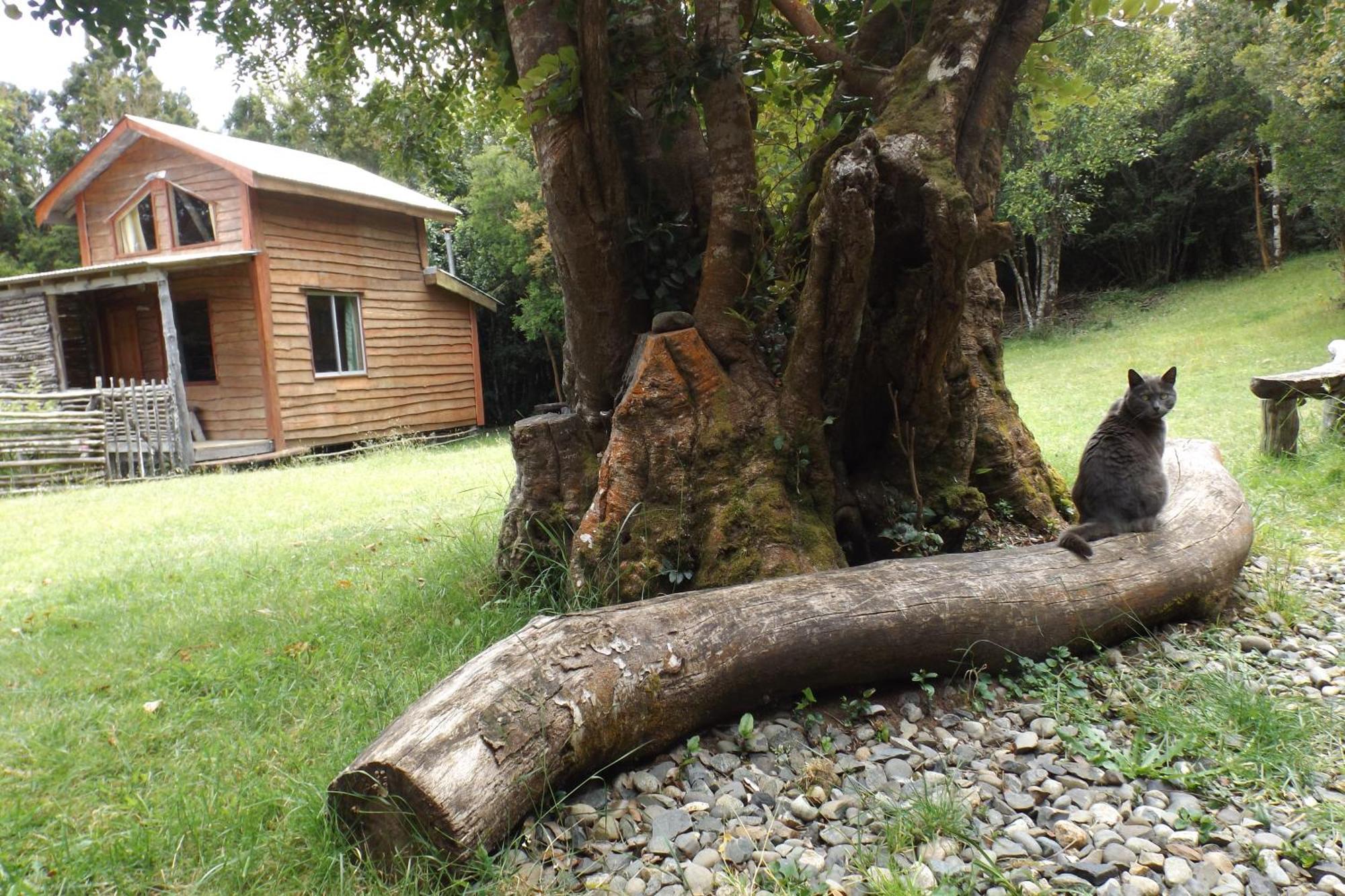 Karukinka Guest House Chonchi Exterior photo